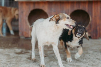 /album/260/whatsapp-image-2026-03-11-at-21-00-42-3-jpeg/